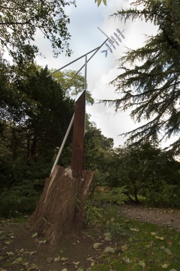 Robinia